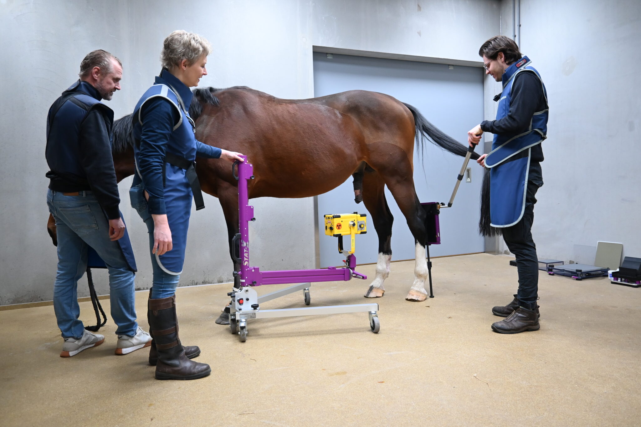 X-ray Imaging for Equine Exams